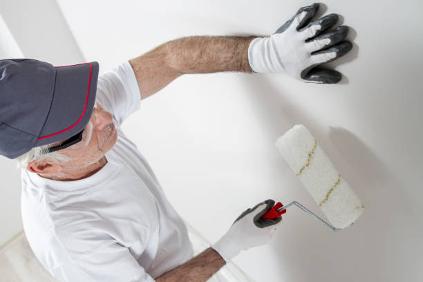 Professional Drywall & Painting Services in Clarkton, MO